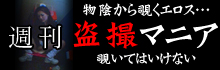週刊盗撮マニア - 裏カルテ